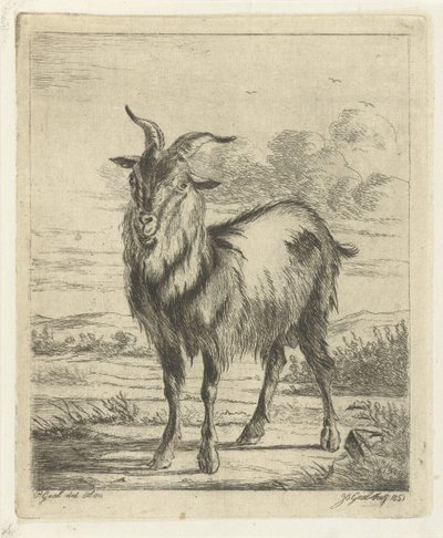 Chèvre debout - Jacobus Cornelis Gaal