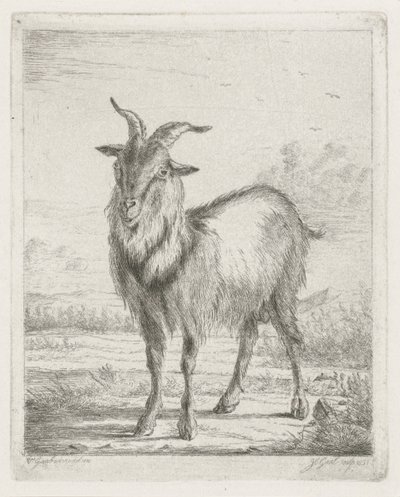 Chèvre debout - Jacobus Cornelis Gaal