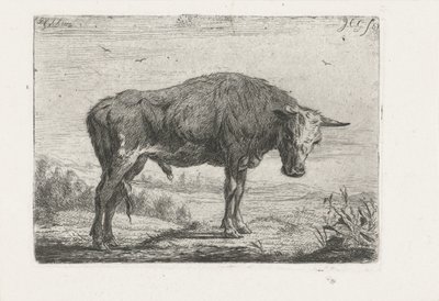 Taureau debout - Jacobus Cornelis Gaal