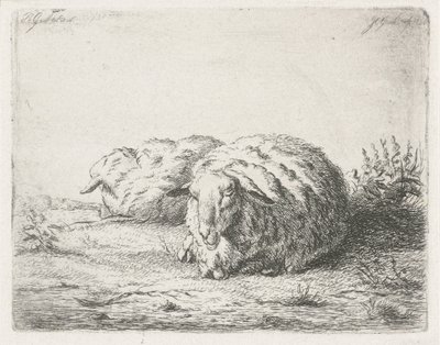 Deux moutons couchés - Jacobus Cornelis Gaal