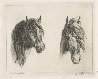 Deux têtes de chevaux - Jacobus Cornelis Gaal