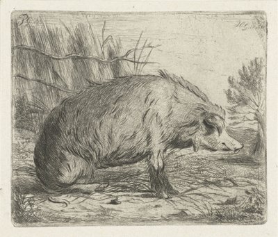 Sanglier assis - Jacobus Cornelis Gaal