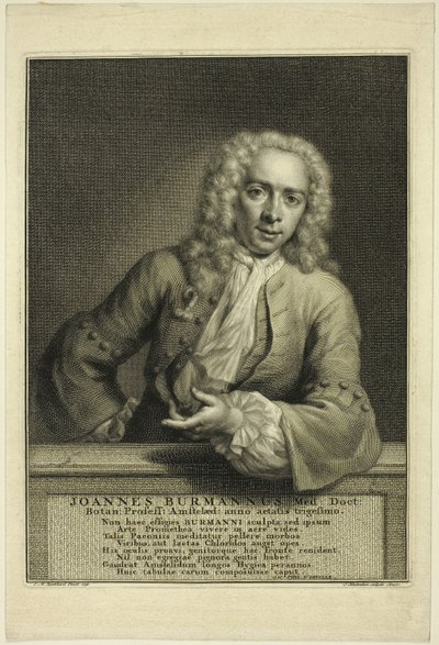 J. Burmannus - Jacobus Houbraken