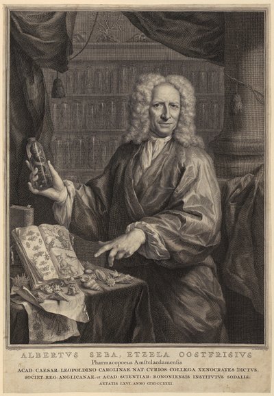  - Jacobus Houbraken