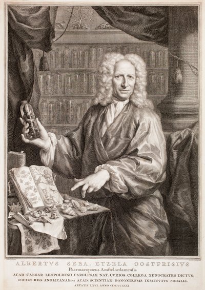  - Jacobus Houbraken