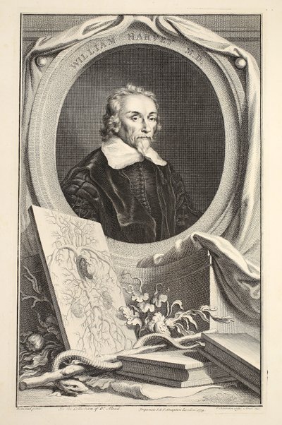 Portrait de William Harvey, illustration de 