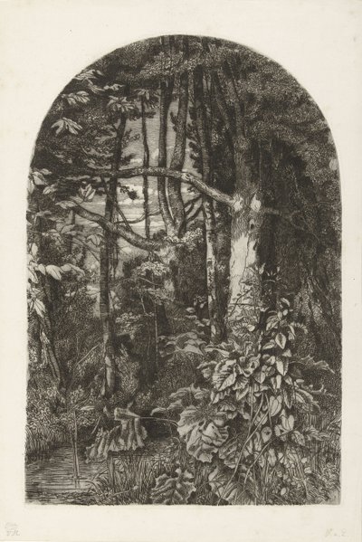 Forêt avec ruisseau - Jacobus Ludovicus Cornet