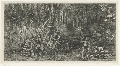 Ruisseau forestier - Jacobus Ludovicus Cornet