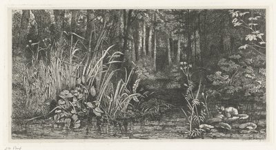 Ruisseau forestier - Jacobus Ludovicus Cornet