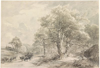 Paysage d