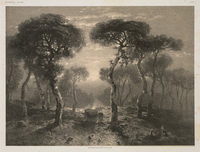 Oeuvres de A. Calame, No. 13: Forêt de Sierre en Valais - Jacomme and Cie. R. de Lancry, 12, Paris