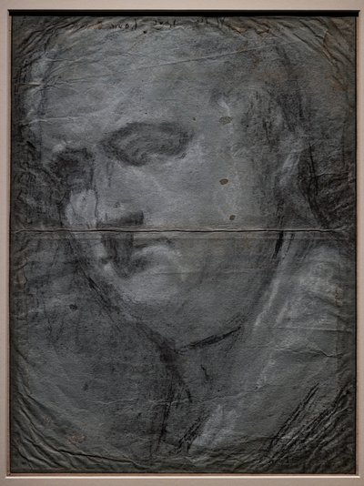 Portrait de Vitellio Grimani - Jacopo (1510 92) Bassano