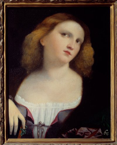 Portrait de femme, peinture sur bois transposée sur toile par Jacopo Palma il Vecchio (1480-1528) - Jacopo (c.1480 1528) Palma