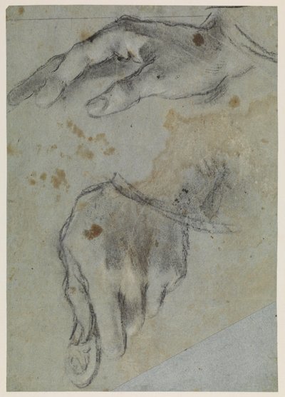 Études de mains, recto, 16e siècle - Jacopo Bassano