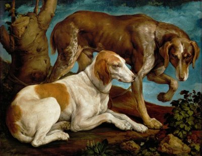 Deux chiens de chasse attachés à une souche d