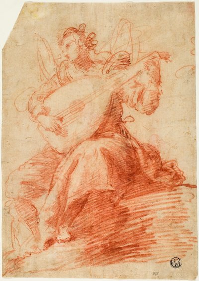 Ange jouant du luth - Jacopo Confortini