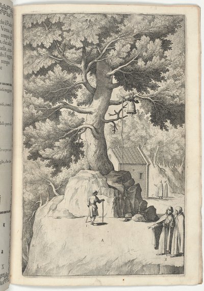 Hêtre avec la cloche (Faggio della campana) [plaque X] - Jacopo Ligozzi