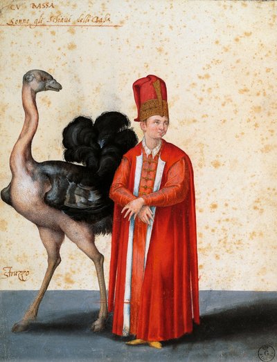 Esclave avec autruche, dessin par Jacopo Ligozzi (1547-1627) - Jacopo Ligozzi