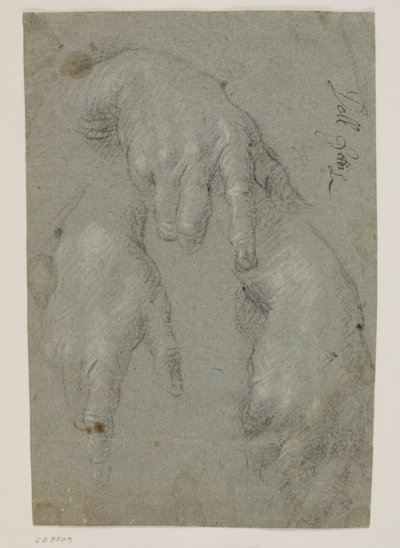 Trois études d