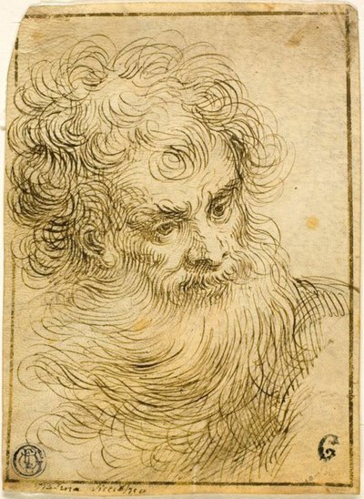 Tête de vieil homme barbu (recto); Croquis décoratif de fleur et feuilles (verso) - Jacopo Palma il Giovane