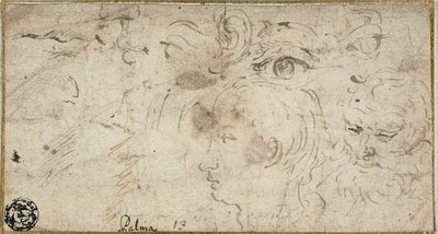 Esquisses de têtes, yeux, oreille et bouche - Jacopo Palma il Giovane