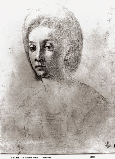Tête de femme - Jacopo Pontormo
