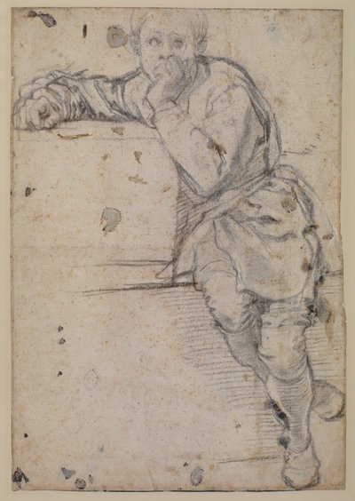 Jeune homme assis - Jacopo Pontormo