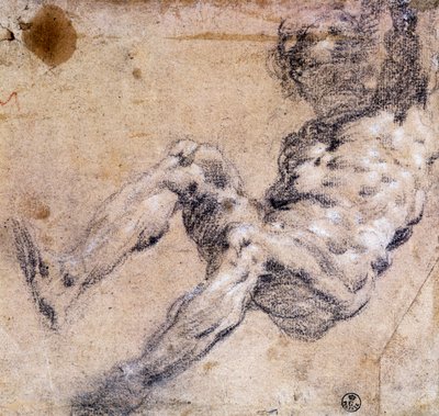 Étude de nu masculin - Jacopo Robusti Tintoretto