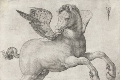 Pégase, 1509-16 - Jacopo de Barbari