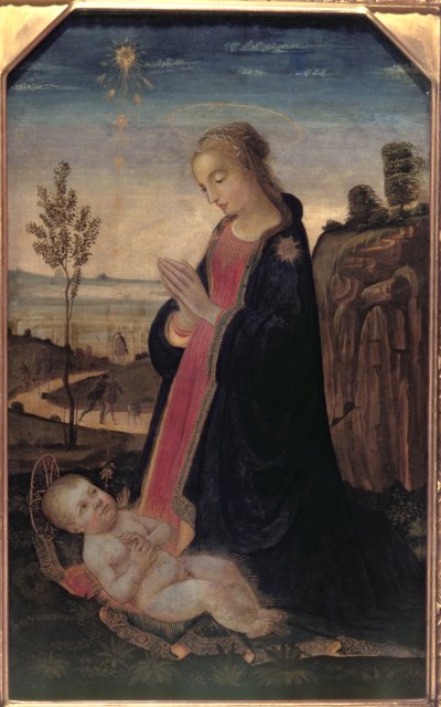 Madone et enfant dans un paysage - Jacopo del Sellaio
