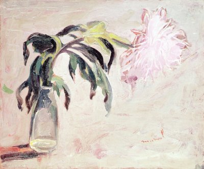 Un Chrysanthème dans une Bouteille - Jacqueline Marval