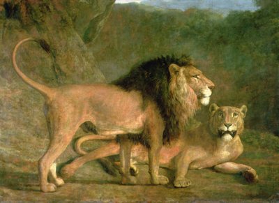 Un lion et une lionne dans une vallée rocheuse - Jacques Laurent Agasse