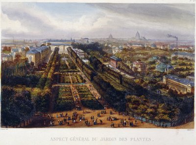 Vue du Jardin des Plantes - lithographie par Testard - Jacques Alphonse (after) Testard