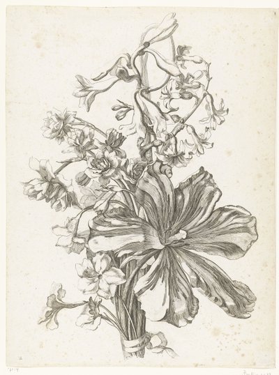 Bouquet avec une tulipe, une jacinthe, une brodiaea et des narcisses - Jacques Bailly (I)
