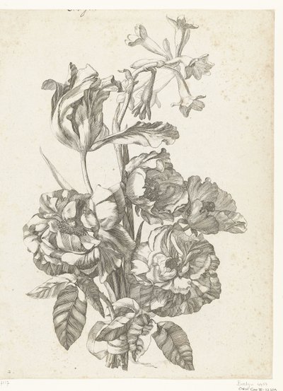 Bouquet avec pivoines, une tulipe et une brodiaea (Diverses Fleurs mises en Boucquets) - Jacques Bailly (I)
