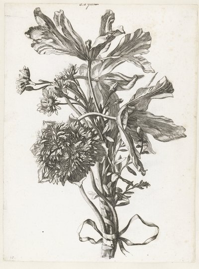 Bouquet avec tulipes fanées, une anémone et immortelles (Diverses Fleurs mises en Bouquets) - Jacques Bailly (I)