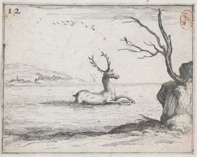 Un cerf dans l