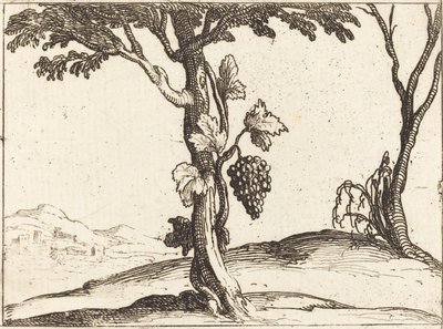 Grappe de raisins - Jacques Callot