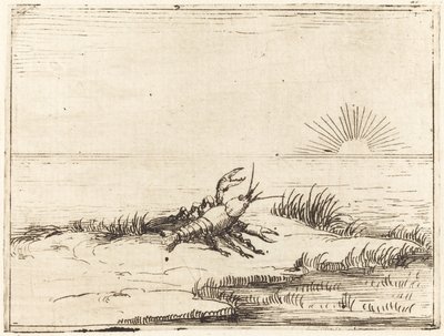 Écrevisse regardant le soleil - Jacques Callot