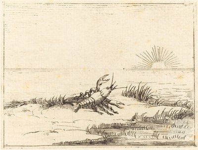 Écrevisse regardant le soleil - Jacques Callot