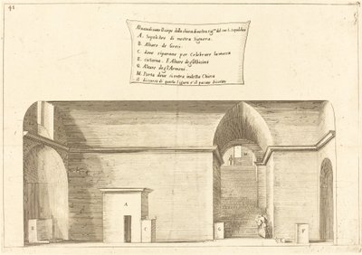 Élévation de l