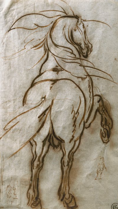 Étude d