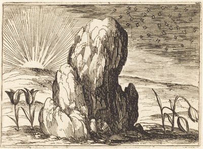 Les Tulipes et le Soleil - Jacques Callot