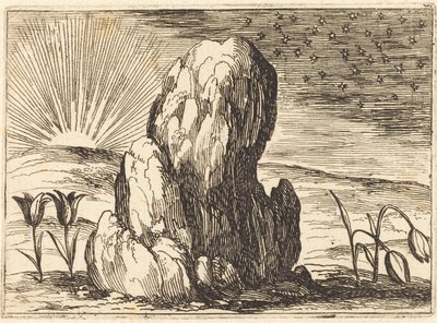 Les Tulipes et le Soleil - Jacques Callot