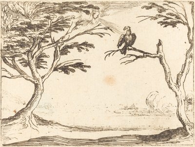 Le Vautour - Jacques Callot