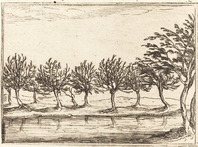 Saules au bord de l