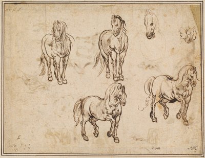 Études de chevaux (recto) - Jacques Callot after Antonio Tempesta