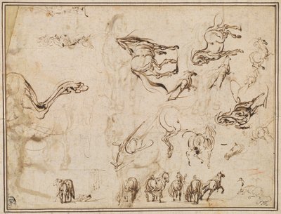 Études de chevaux [verso] - Jacques Callot after Antonio Tempesta