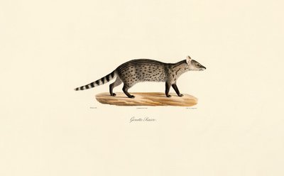 Génie commun - Jacques Christophe Werner