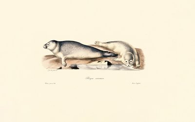 Sceau commun - Jacques Christophe Werner